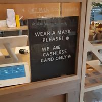cashless at Bear Lemon in Dublin