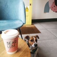  at Bear Lemon in Dublin