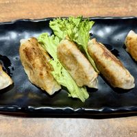 Vegan gyozaa  at Kinsahi - Mid Valley Southkey in Johor Bahru