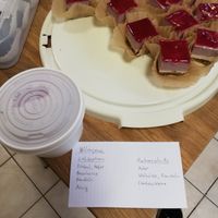 Allergene - Lebkuchen (Achtung Honig) und Himbeerschnitten at Louie's Grünepflaume in Hamburg