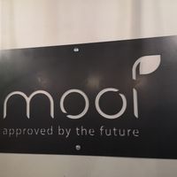 Inside at Mooi in Prague