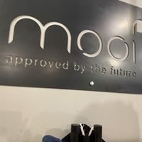 Logo  at Mooi in Prague