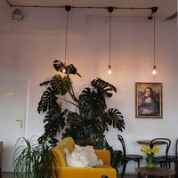 Look at this monstera! So jealous at Eter Vegan Bakery in Warsaw