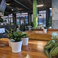 Interior at Harvest in Halifax