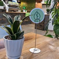  at Harvest in Halifax