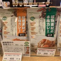 Vegan curry at Natural Court in Nagoya