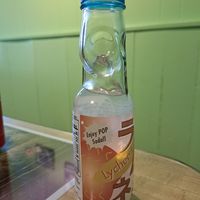  at The Green Papaya in Canton