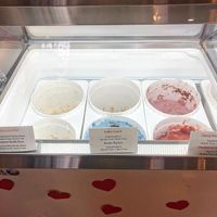 Ice cream  #Veganuary at Moo-Over in Fort Wayne