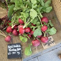 Beautiful veg for sale😄 at Torba Farmers Market  in Doha
