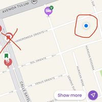 Actual location is the blue dot on right not location marked on the leftt  at Botanica Garden Cafe in Tulum