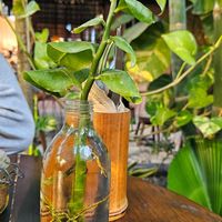  at Botanica Garden Cafe in Tulum