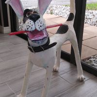 My mascot.  😊 at Runs With Scissors in Palm Harbor