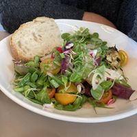 Salade   at Mama Gaia in Haarlem