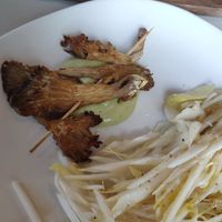 Oesterzwaam kebab at Mama Gaia in Haarlem