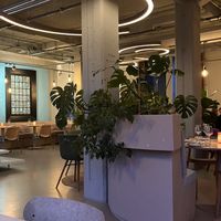 Room  at Mama Gaia in Haarlem