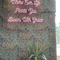 Enough said    at The Vibe in Liverpool