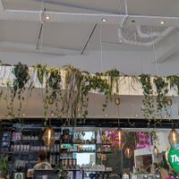  at The Vibe in Liverpool