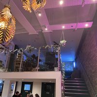   at The Vibe in Liverpool