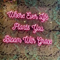   at The Vibe in Liverpool