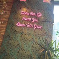   at The Vibe in Liverpool