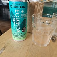 Kombucha! at The Vibe in Liverpool