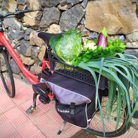 What a treat  at BioSfera in La Gomera