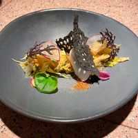 White fungi ceviche at Pinchy's in Melbourne