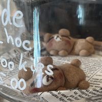   at The Little Poet in Hobart