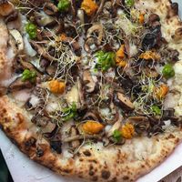   at Mastino Pizza in Amsterdam