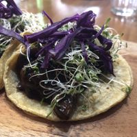 Tacos de hongos con mole negro at Casa Maca in Valladolid