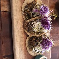 Spicy lentil tacos  at Casa Maca in Valladolid