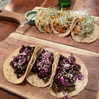 Mole with mushrooms tacos / cauliflower and jalapeño sauce tacos      at Casa Maca in Valladolid