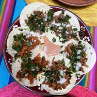 Tacos  at Guanajuatito Restaurante in Guanajuato
