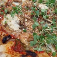 Cogunam vegan version at Tozzi Forneria Moderna in Lisbon