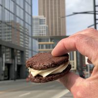 Walk through the city, eat more cookies!  at Hark! Cafe in Plymouth