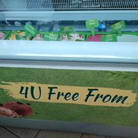 Variedad de helados veganos. at Serendipity in Valencia