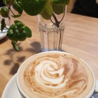 Cappuccino mit Oatly at KAWA in Dresden