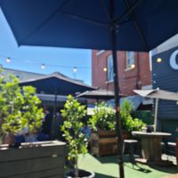 Garden at The Bearded Jaffle in St Kilda