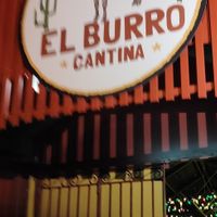  at El Burro Cantina in Tamborine Mountain