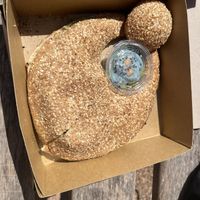   at Kaaké in Antibes