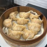   at Bar Gyoza Go! in Madrid