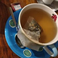  at Veggie Brau in Stockerau