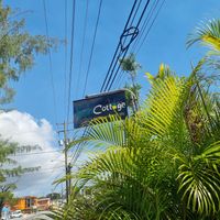  at Vegan Cottage in Bridgetown