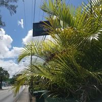 Sign from the road at Vegan Cottage in Bridgetown