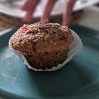 Portion size of muffin at Vegan Cottage in Bridgetown
