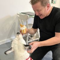   at Green Island Bistro in Rhuddlan