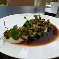 Geschmorte Kräutersaitlinge - eine Insellandschaft mit Grün und Braun - wundervoll angerichtet... at La Clav in Flims