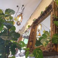 Interior at Advieh in Seddon