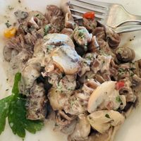 Crema di Funghi 15,50€  at Vapiano - Westpark in Ingolstadt