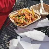 Deluxe fries (I forgot the actual name 😆) at Project Pollo in Austin